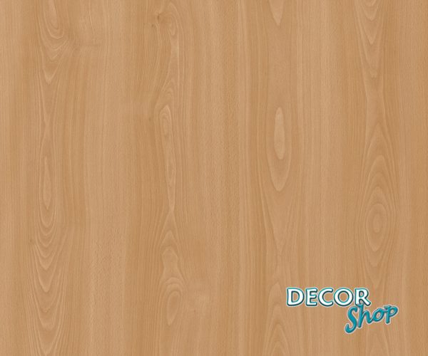 M186 Fluvia Beech